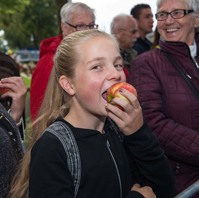 Appeltjesdag Tiel